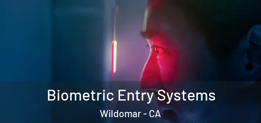  Biometric Entry Systems Wildomar - CA