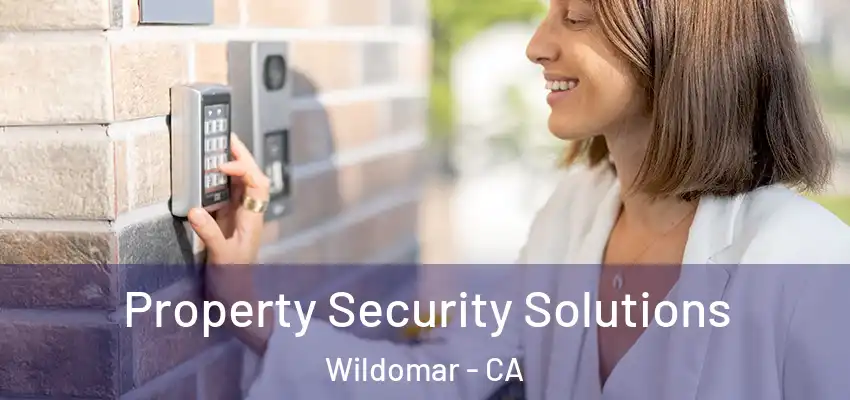  Property Security Solutions Wildomar - CA